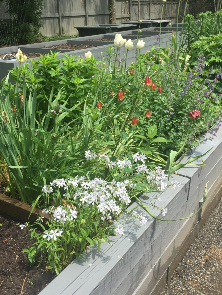 Raised Garden Box Overflowing with Flowers and Greenery
