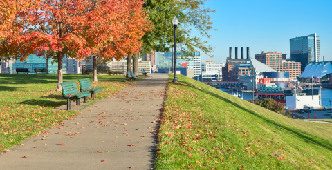 baltimore view in fall